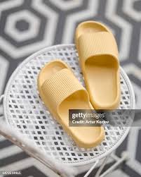 Women Indoor Slippers